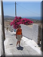 kykladen2006 040.jpg