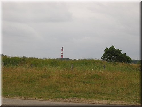 sylt05 107.jpg