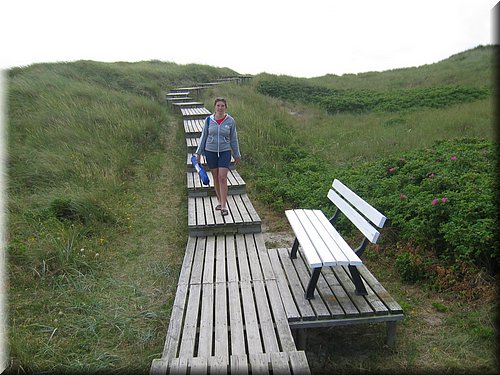 sylt05 150.jpg