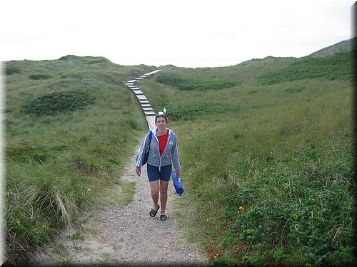 sylt05 159.jpg