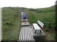 sylt05 150.jpg