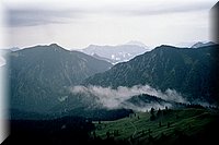 fockenstein02.jpg