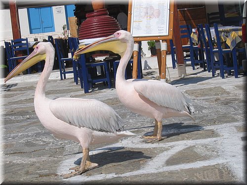 kykladen2006 158.jpg