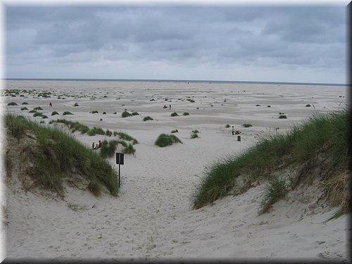 sylt05 108.jpg