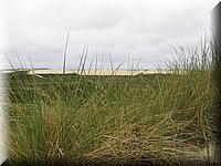 sylt05 080.jpg