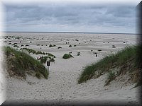 sylt05 108.jpg